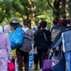 هولندا تشدد قوانين اللجوء.. ما الذي ينتظر السوريين بعد القرارات الجديدة؟