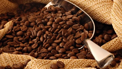 الكشف عن أسباب أزمـ.ـة البن