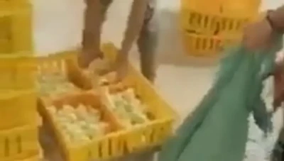 فيديو إعدام “الكتاكيت” يُثير ضجةً في مصر وقد يتسبب في عواقب وخيمة