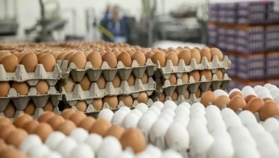 ارتفاع أسعار البيض بسبب نقص العرض وزيادة الطلب