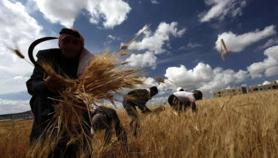 تسويق ضعيف وتشريعات عقبة أمام الصادرات الزراعية السورية