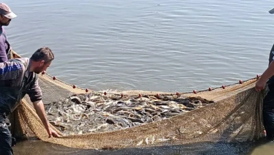 إنتاج الأسماك في سوريا يتجاوز 30 ألف طن وخطط لزيادة الإنتاج