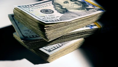 مصر: ارتفاع سعر الدولار الجمركي