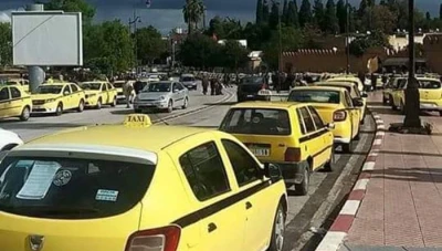 سوريا تتجه لتنظيم قطاع سيارات الأجرة عبر نظام رقمي وعدادات ذكية