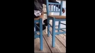 شاب مهـ.ـدد بالسجن 10 سنوات بسبب قطة! فيديو يوثّق كيف استـدرجها