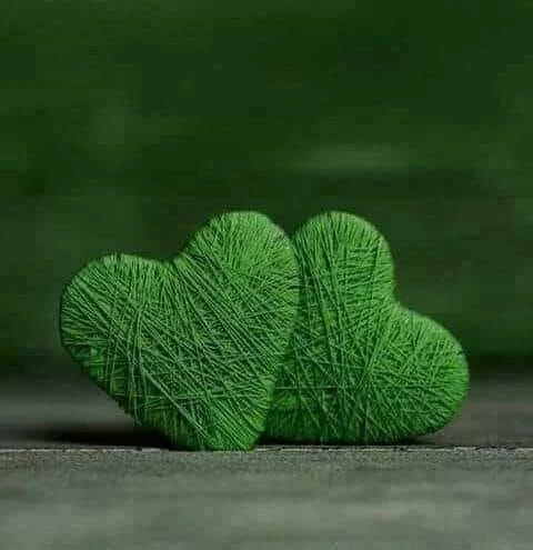 زاوية جميلة عن القلب الأخضر عند الرجل