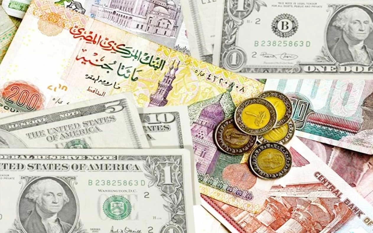 سعر الدولار مقابل الجنيه المصري اليوم الأحد 13 نوفمبر 2022  (USD/EGP)