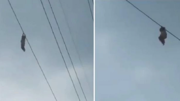 فيديو صادم لصبي معلق بسلك كهرباء على علو 15 مترا!