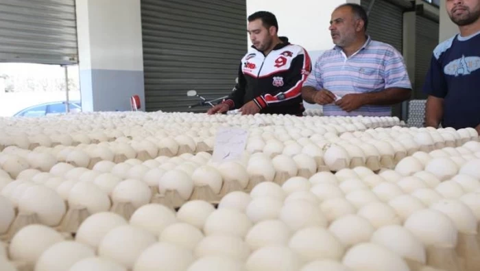 غرف الزراعة: مقدار الفرد في سوريا 154 بيضة سنوياً !