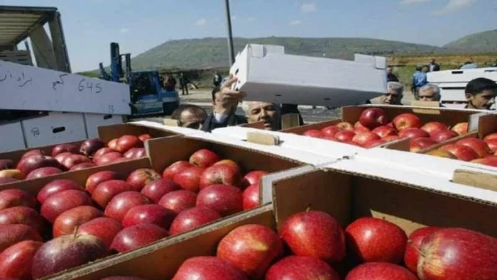 مصادر محلية : البحر حلّ مشكلة تصدير الخضر والفواكه عبر الأردن