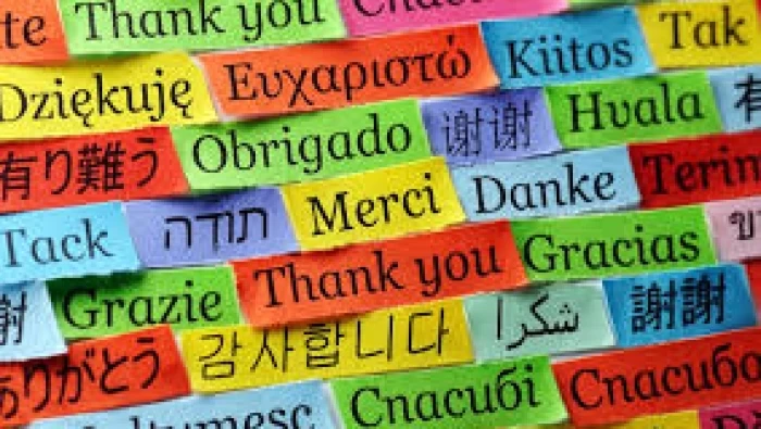 الأمم المتحدة: 43% من لغات العالم مهددة بالاندثار