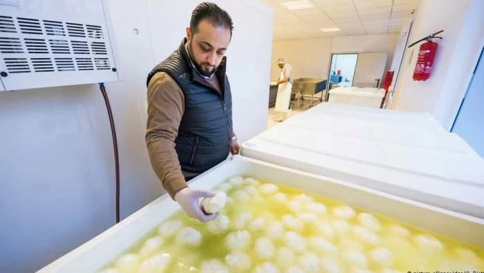 لاجىء سوري يصنع منتجات الألبان والأجبان في ألمانيا