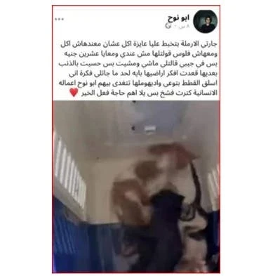 غضب عارم على مواقع التواصل بعد انتشار فيديوهات مروعة لـ"سفاح القطط"