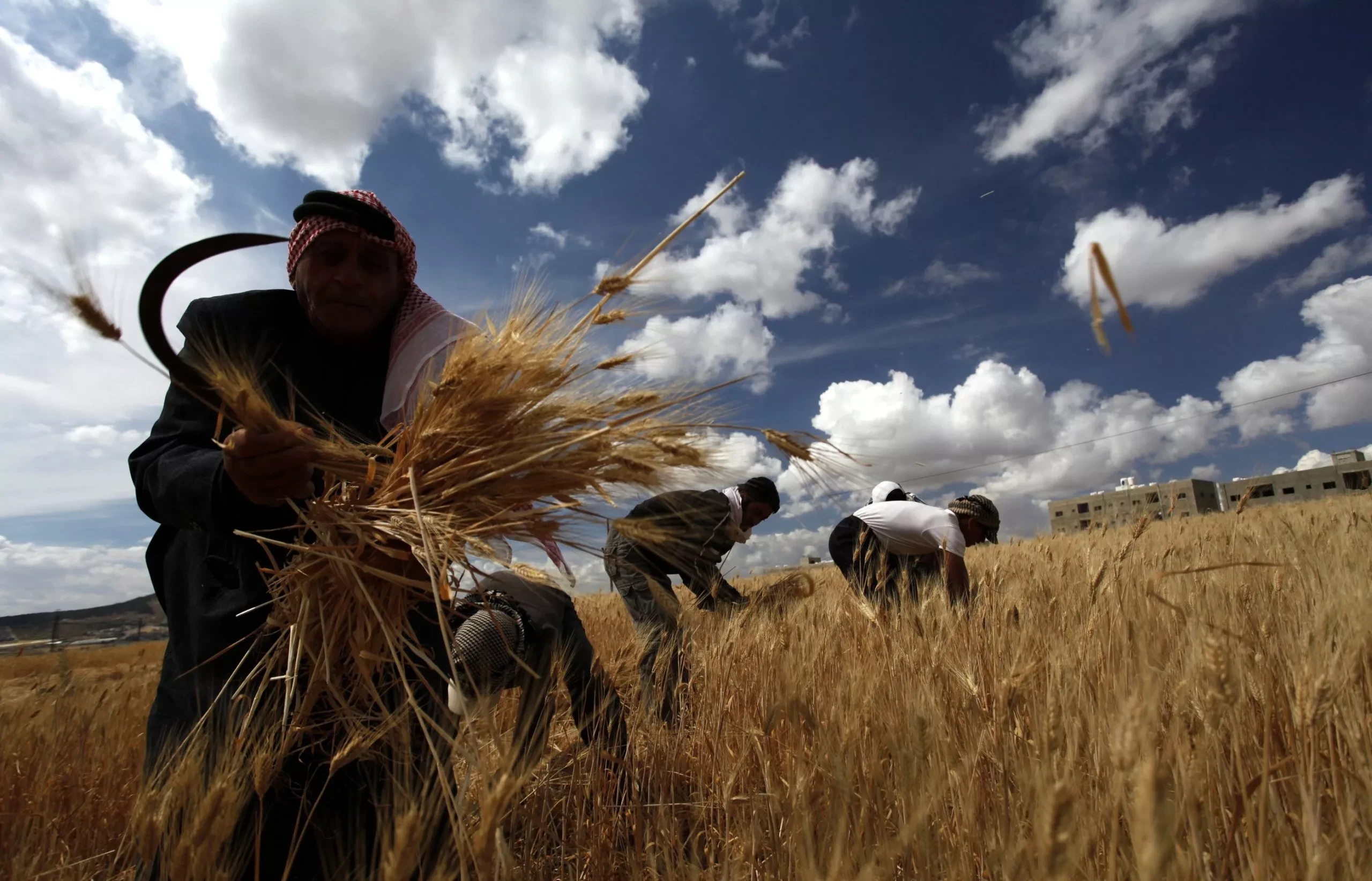 تسويق ضعيف وتشريعات عقبة أمام الصادرات الزراعية السورية