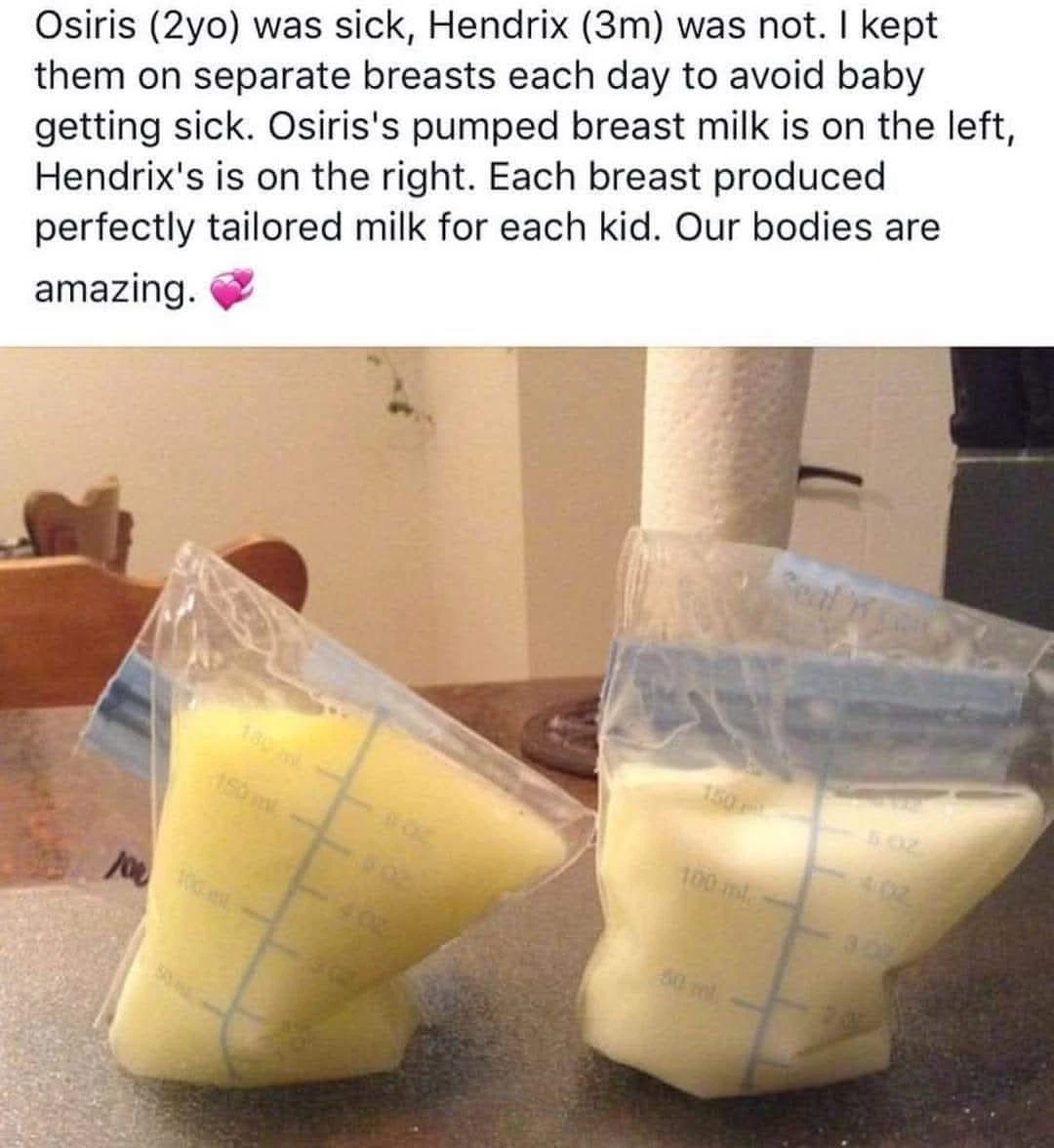 الحليب المخصص لكل طفل: كيف يكيف الثدي تركيبة الحليب حسب حاجة الطفل