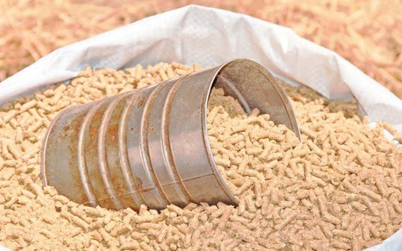 الحكومة السورية تحدد سعر شراء القمح من الفلاحين للموسم الزراعي الحالي