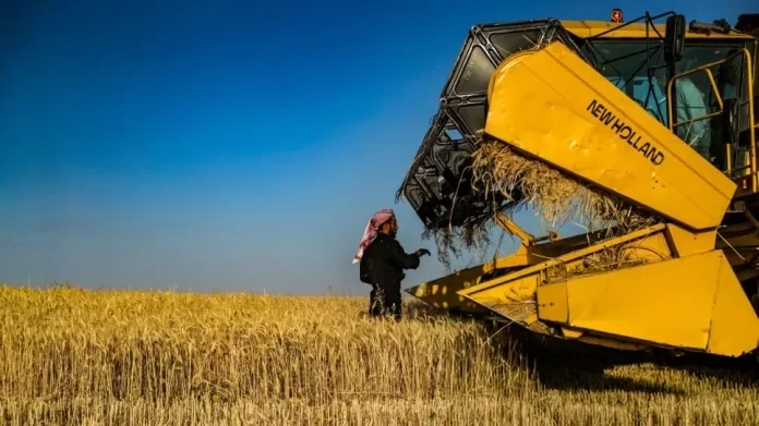 خطة حكومية لتعزيز الأمن الغذائي في سوريا