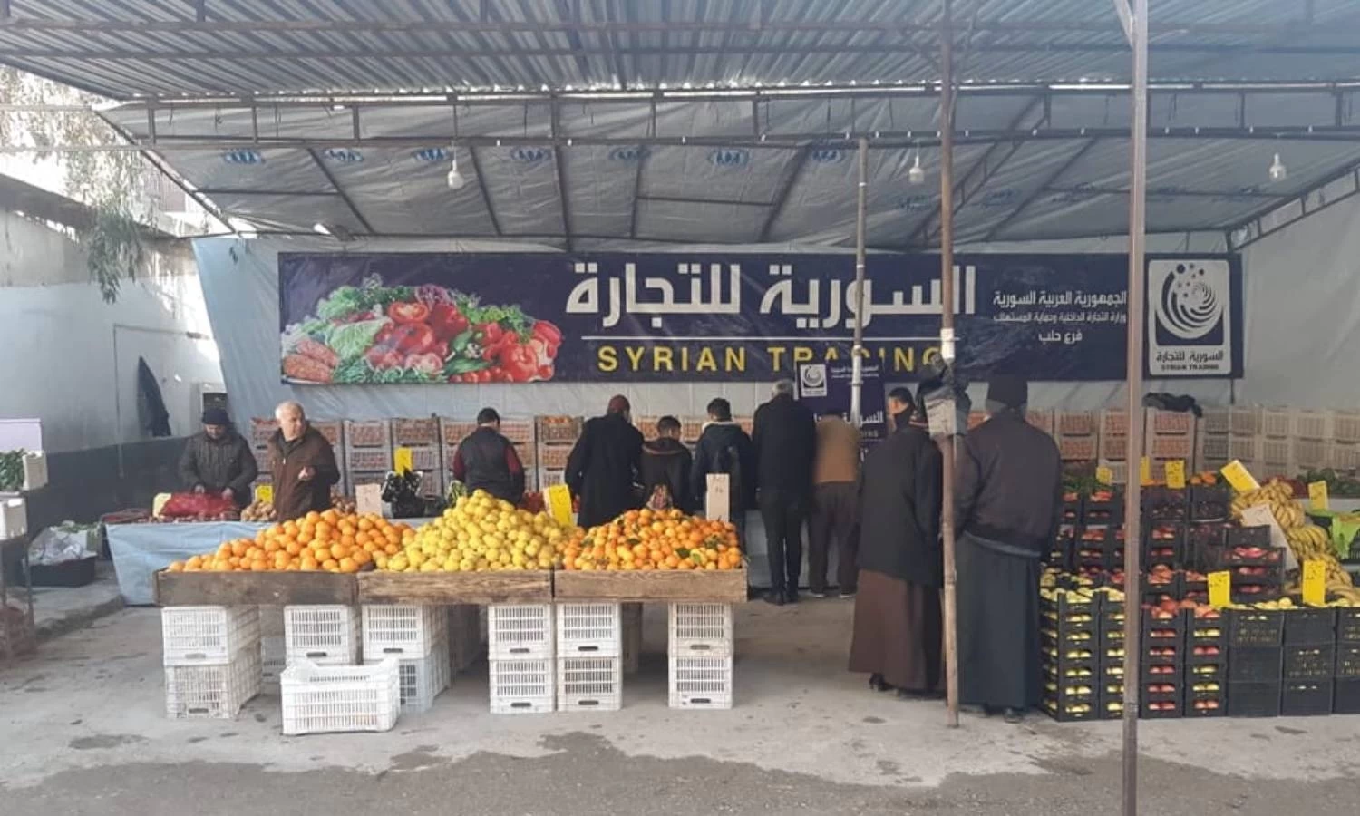 السورية للتجارة ترفع أسعار الحمضيات