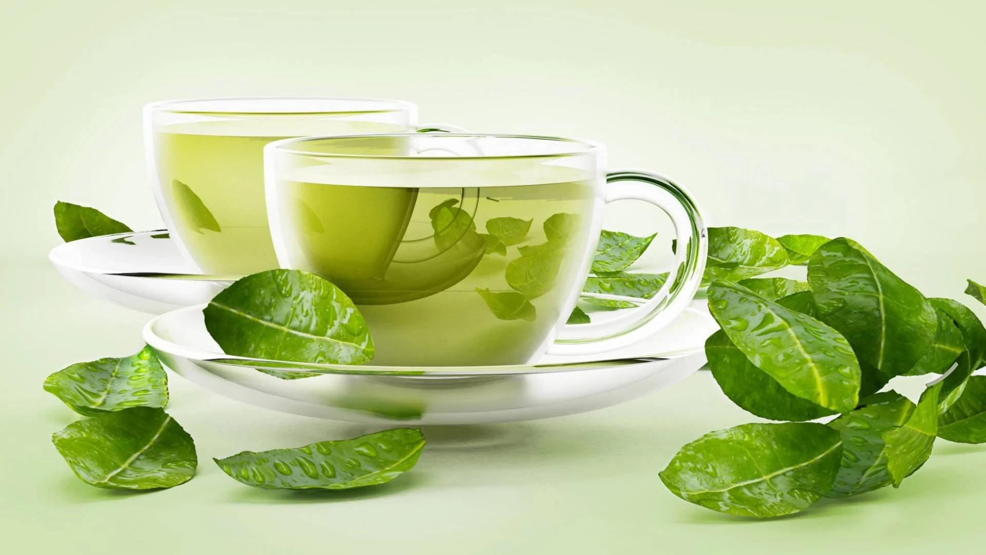الفـوائد الصـحية للشاي الأخضر