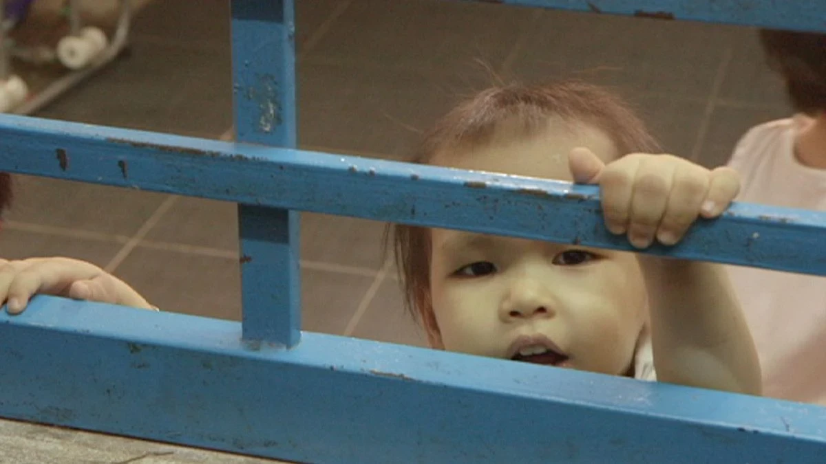 توصية بحظر عمليات تبني الأطفال الأجانب في إحدى دول أوروبا