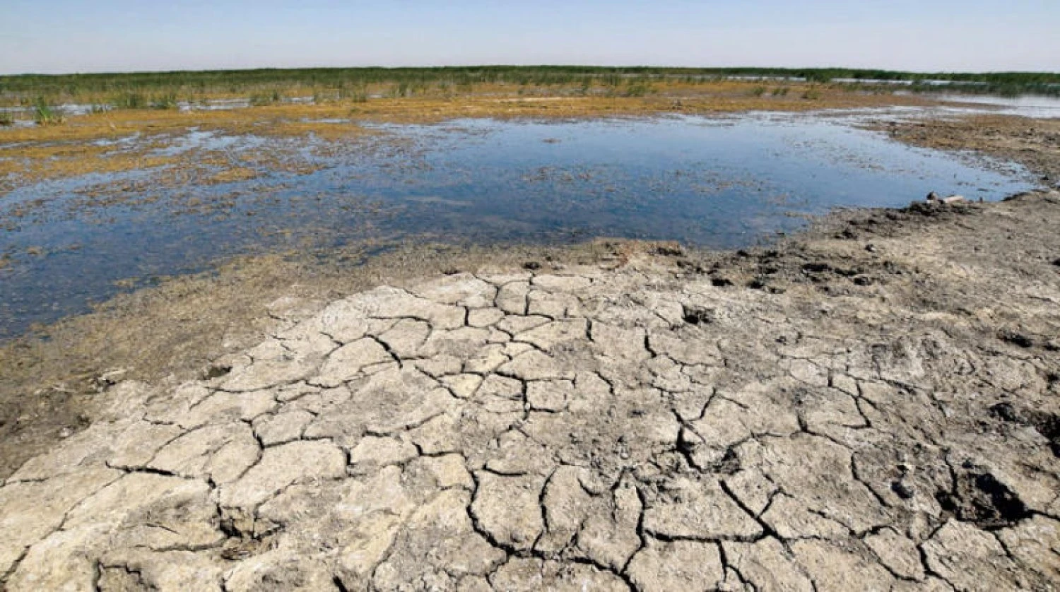 جفاف يهـ..ـدد الأمن الغذائي في سوريا وتحذيرات للقطاع الزراعي