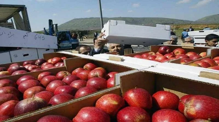تصدير التفاح والإجاص من دمشق لدول الخليج وتحديات ارتفاع أسعار الخضار