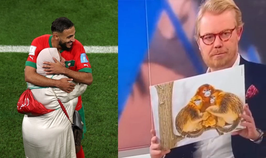 بالفيديو.. قناة دانماركية تشبه احتفالات لاعبي المنتخب المغربي بأمهاتهم بـ"بالقردة"